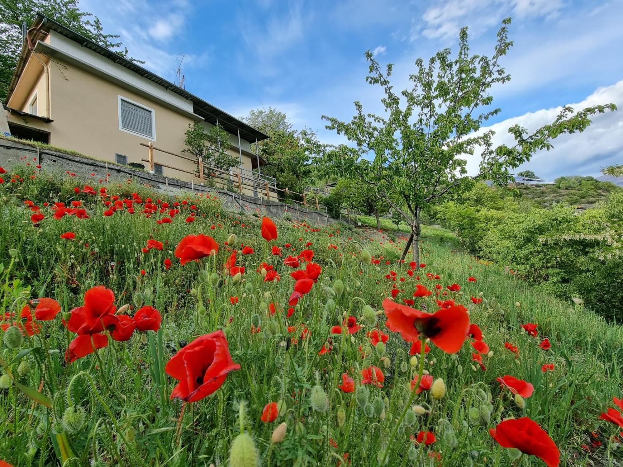 Casa Le Vignole - Aosta Villa ภายนอก รูปภาพ